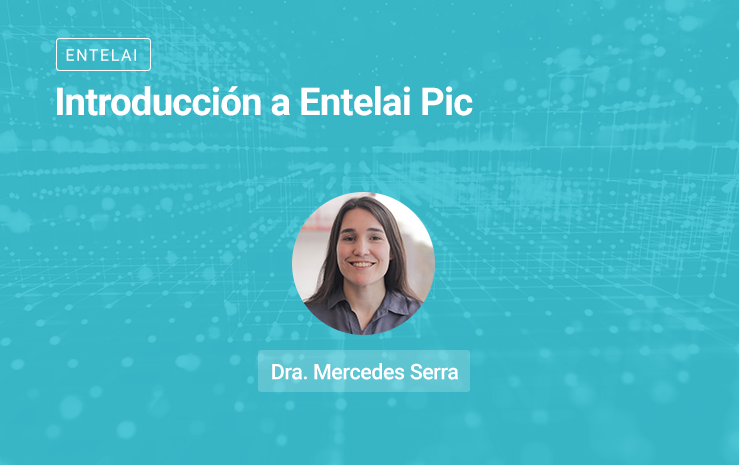 Introducción a Entelai Pic