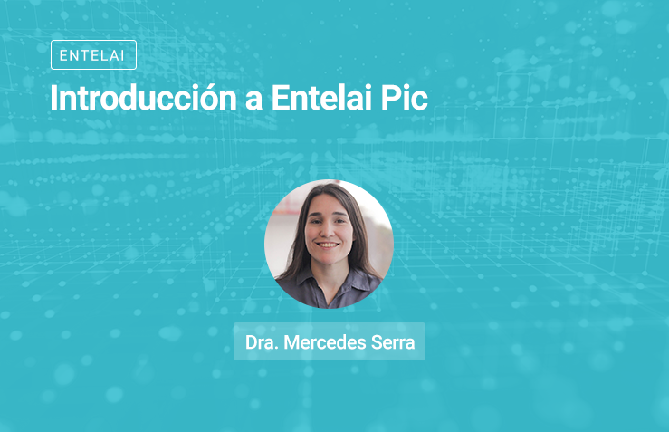 Introducción a Entelai Pic